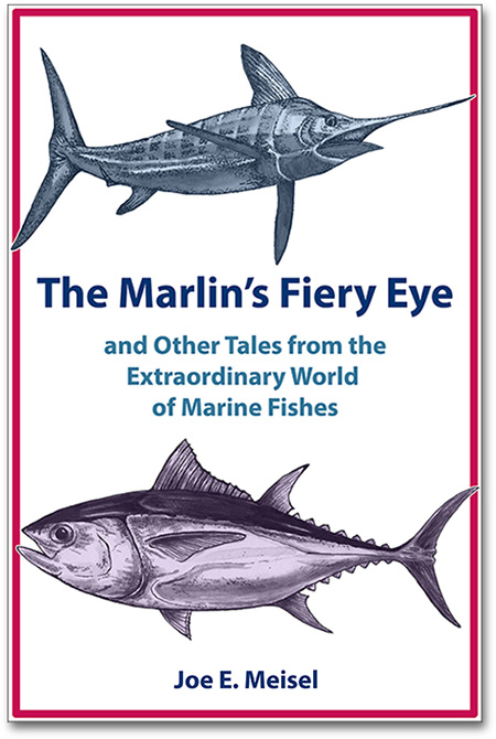 Marlin's Fiery Eye cover
