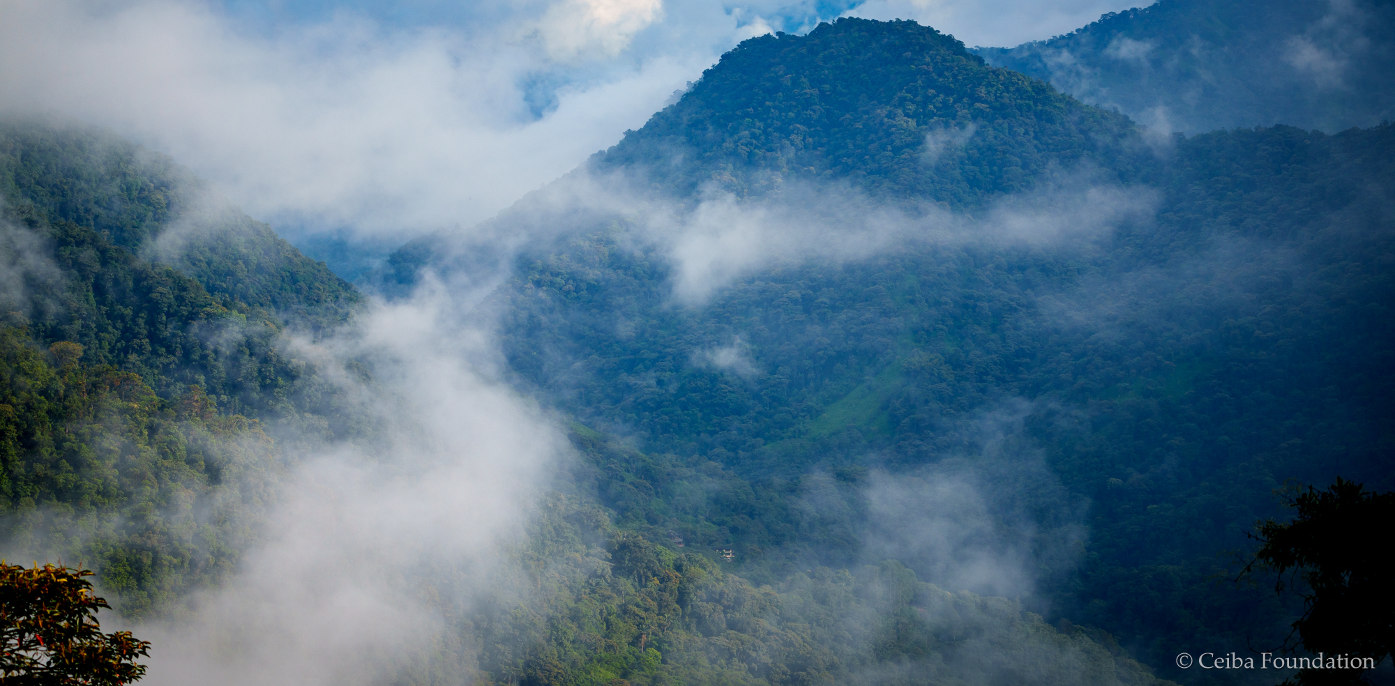 Tandayapa mountains