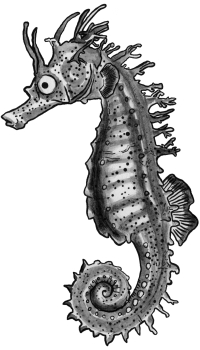 seahorse